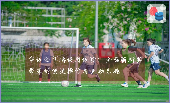 华体会PC端使用体验：全面解析其带来的便捷操作与互动乐趣